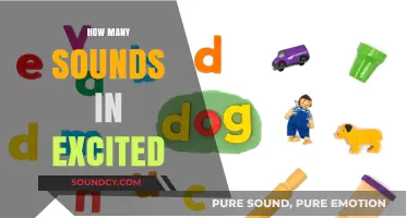 Exploring the Phonetic Layers of 'Excited': How Many Sounds?
