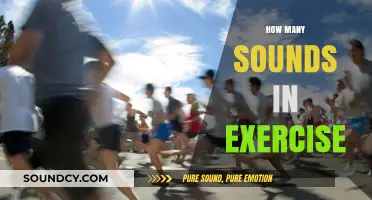Exploring the Auditory Elements: How Many Sounds Are in Exercise?