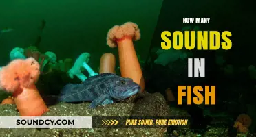 Exploring the Surprising Number of Sounds Fish Make Underwater