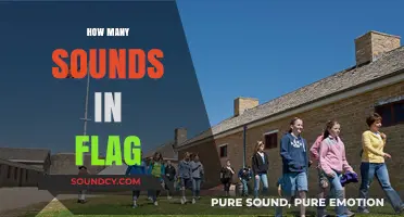 Unraveling the Mystery: How Many Sounds Does a Flag Make?