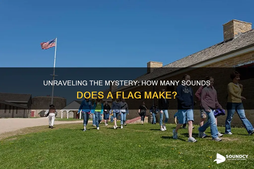 how many sounds in flag