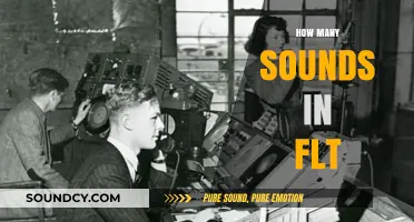 Unraveling the Phonetic Mystery: How Many Sounds in FLT?