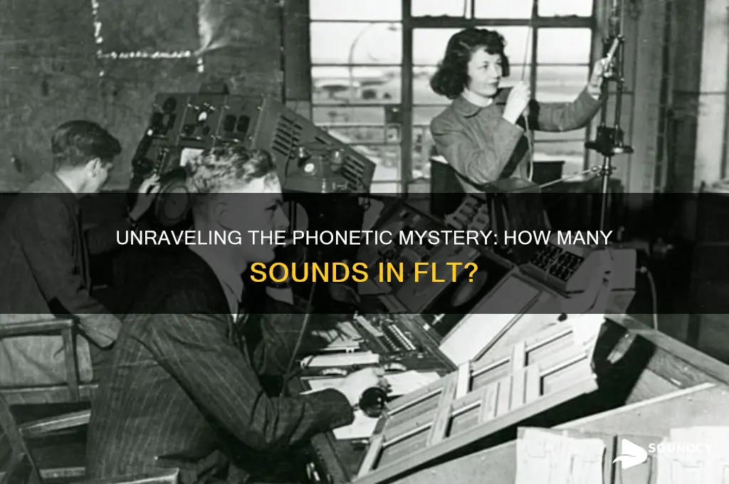 how many sounds in flt