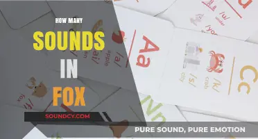 Exploring the Unique Sounds of a Fox: A Phonetic Analysis