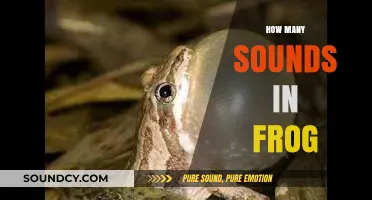 Exploring the Unique Vocalizations: How Many Sounds Can a Frog Make?
