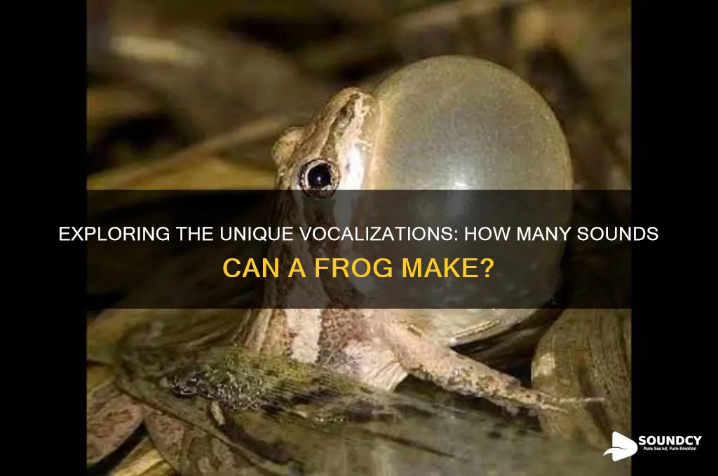 how many sounds in frog
