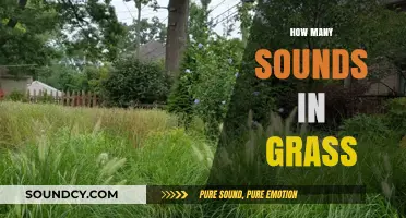 Exploring the Surprising Variety of Sounds Hidden in Grass