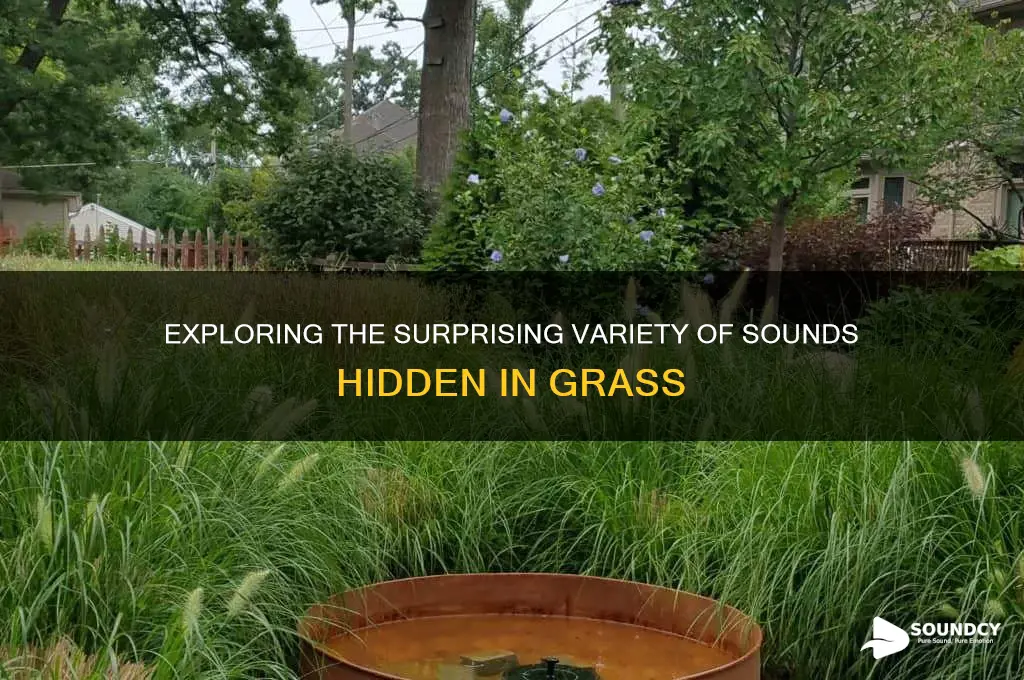 how many sounds in grass