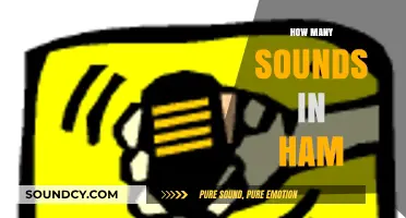 Unraveling the Phonetic Mystery: How Many Sounds Are in 'Ham'?