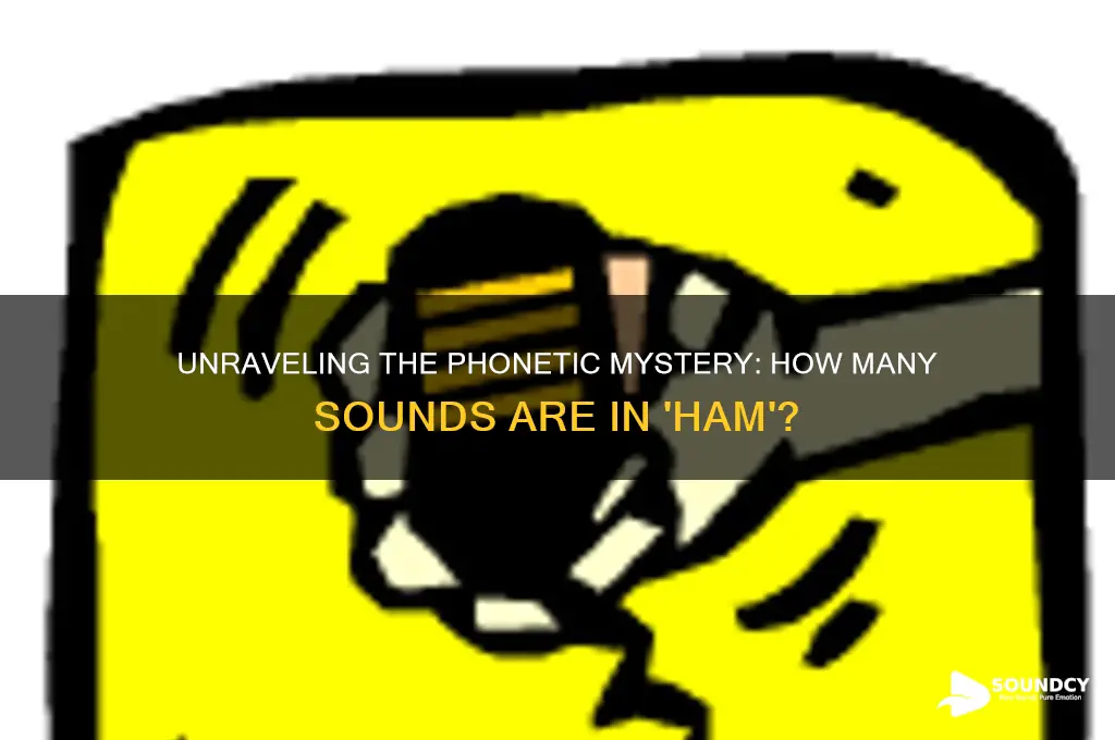 how many sounds in ham