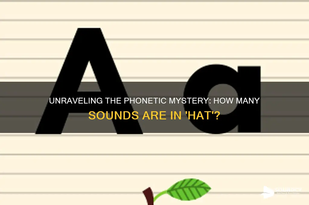 how many sounds in hat