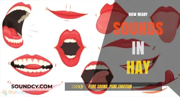 Unraveling the Phonetic Mystery: How Many Sounds Are in 'Hay'?