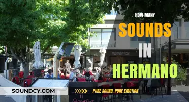 Exploring the Phonetic Breakdown of the Spanish Word 'Hermano