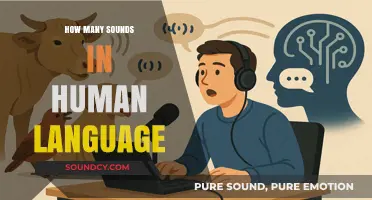 Exploring the Astonishing Variety of Sounds in Human Language