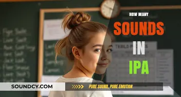 Exploring the International Phonetic Alphabet: Counting Its Unique Sounds