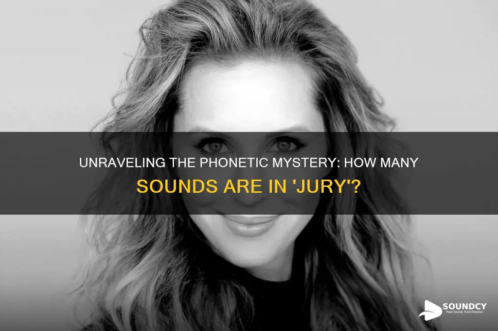 how many sounds in jury