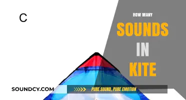 Exploring the Phonetic Sounds in the Word 'Kite': A Breakdown