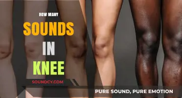 Exploring the Surprising Number of Sounds Your Knee Can Make