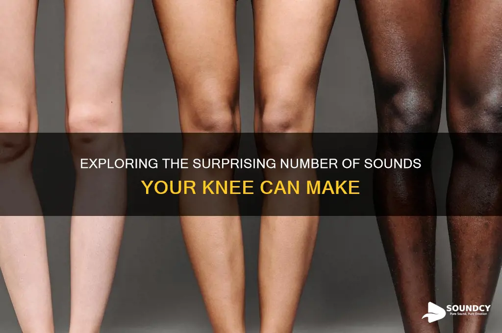 how many sounds in knee