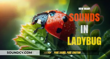 Exploring the Surprising Number of Sounds in a Ladybug's Life