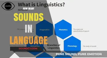 Exploring the Diverse Phonetic Sounds Across Different Languages