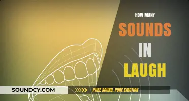 Exploring the Surprising Variety of Sounds in Human Laughter
