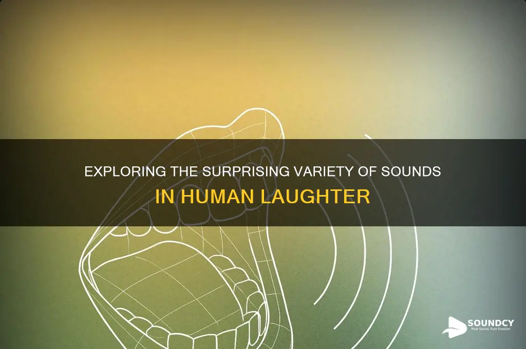 how many sounds in laugh