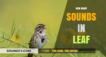 Exploring the Surprising Number of Sounds a Leaf Can Make