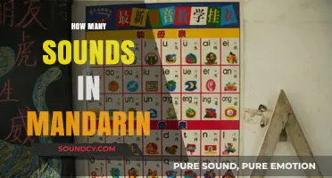 Exploring the Rich Phonetic System of Mandarin Chinese Sounds
