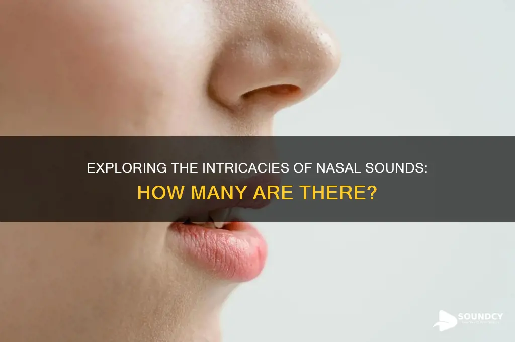 how many sounds in nose