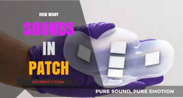 Exploring the Sonic Palette: How Many Sounds Does a Patch Hold?