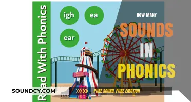 Mastering Phonics: Understanding the Total Number of Sounds in English