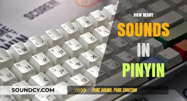 Exploring the Phonetic Sounds of Pinyin: A Comprehensive Guide