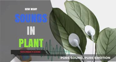 Exploring the Surprising Number of Sounds Plants Produce in Nature