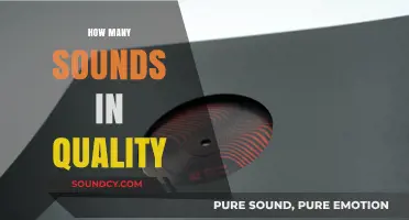 Exploring the Sonic Spectrum: Unraveling the Sounds of Quality