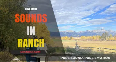 Exploring the Surprising Variety of Sounds Found in Ranch Life