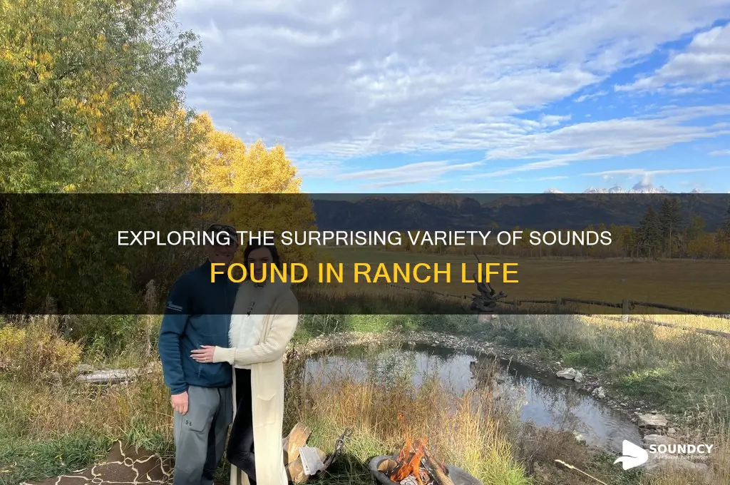 how many sounds in ranch