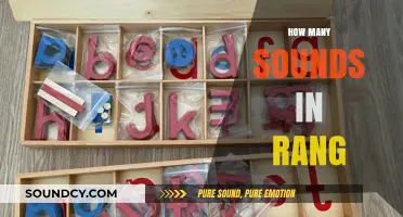 Unraveling the Phonetic Mystery: How Many Sounds Are in 'Rang'?