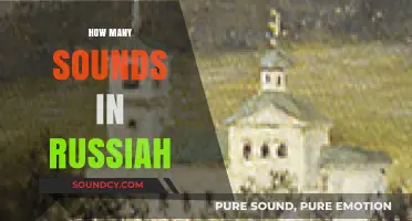 Exploring Russia's Phonetic Diversity: How Many Sounds Are There?