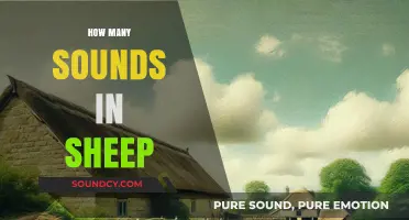 Unraveling the Surprising Number of Sounds Sheep Make: A Detailed Exploration