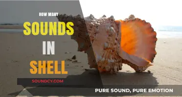 Exploring the Surprising Variety of Sounds Within a Shell
