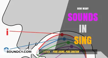 Unraveling the Phonetic Mystery: How Many Sounds Are in 'Sing'?