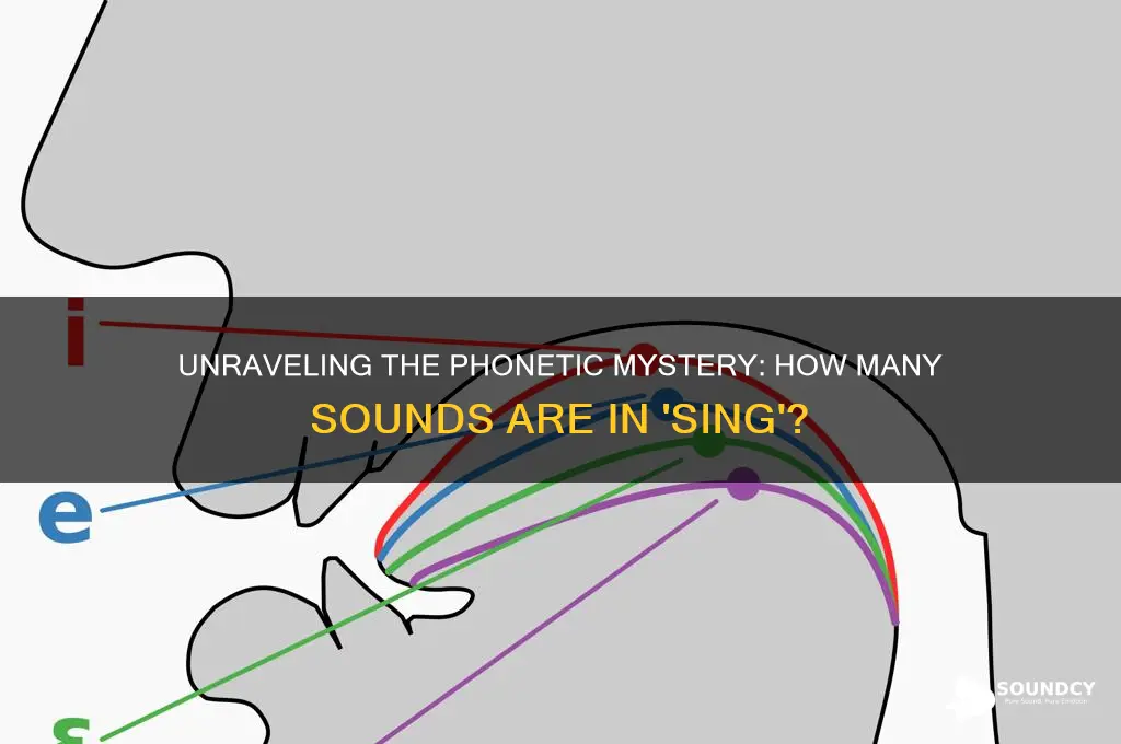how many sounds in sing