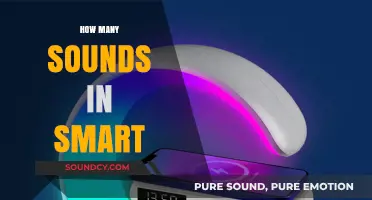 Unraveling the Phonetic Mystery: How Many Sounds Are in 'Smart'?