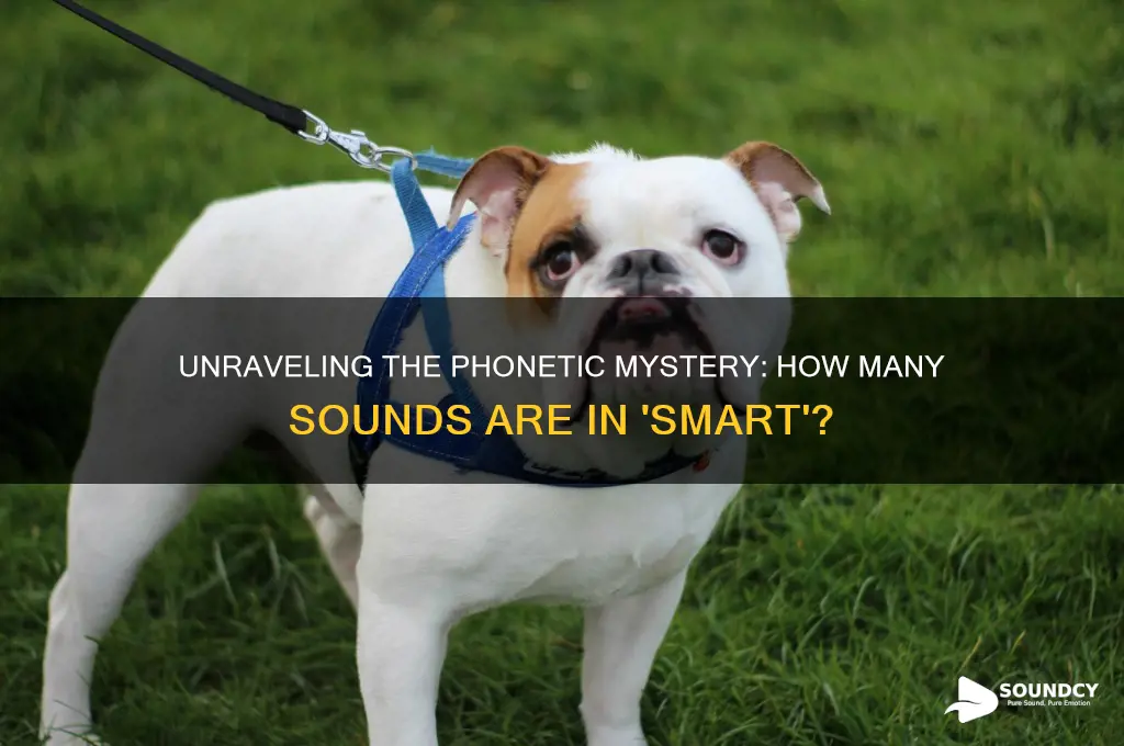 how many sounds in smart