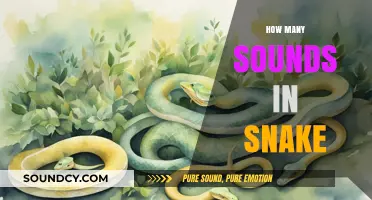 Unraveling the Mystery: How Many Sounds Does a Snake Make?