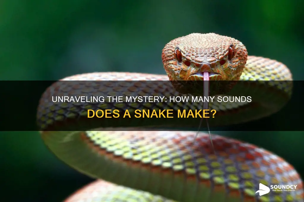 how many sounds in snake
