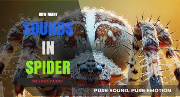 Unraveling the Surprising Number of Sounds Spiders Produce