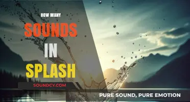 Unraveling the Acoustic Mystery: How Many Sounds Are in Splash?