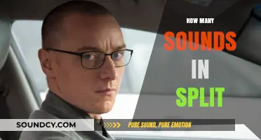 Unraveling the Sonic Layers: How Many Sounds Are in Split?